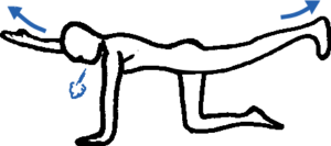 dessin montrant un exercice simple de renforcement des muscles du dos contre les lumbagos